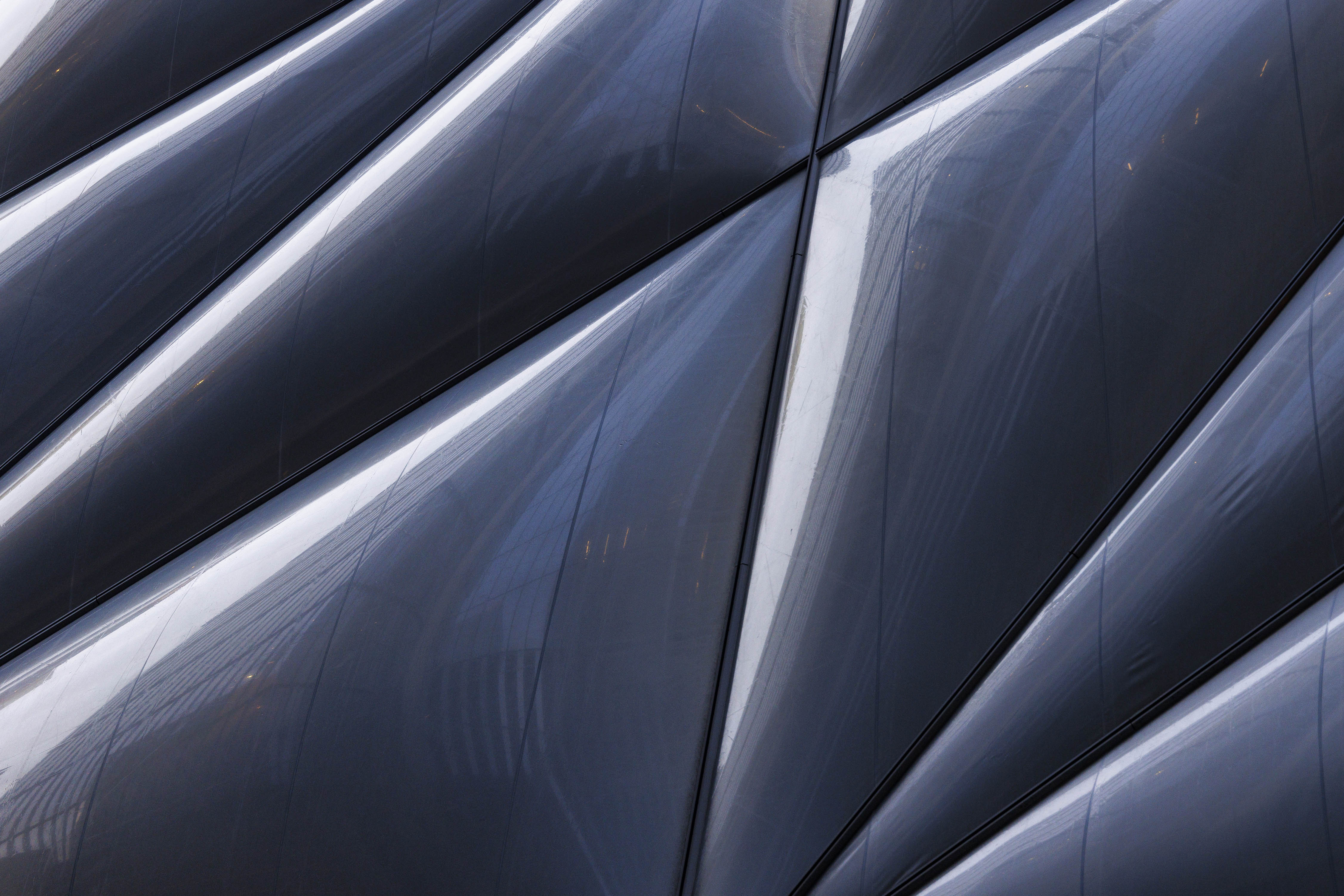 20211102-November 02, 2021-075505-075505-Edit.jpg